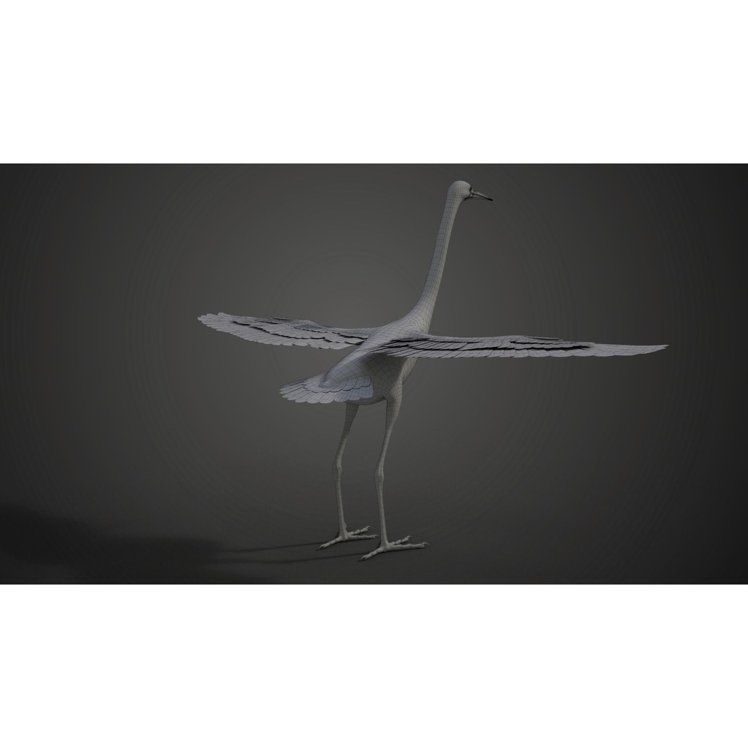 Egret 3D Model – Realistic Animated Bird with Rigging and Textures - View 29