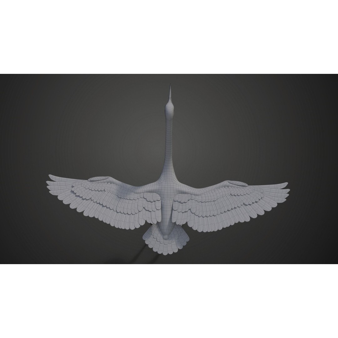 Egret 3D Model – Realistic Animated Bird with Rigging and Textures - View 30