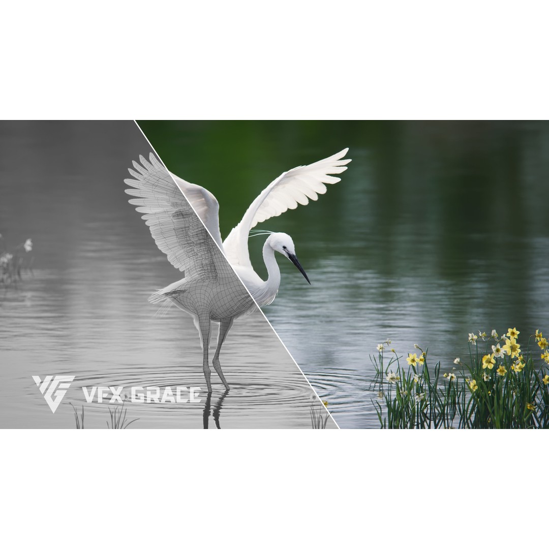 Egret 3D Model – Realistic Animated Bird with Rigging and Textures - View 4