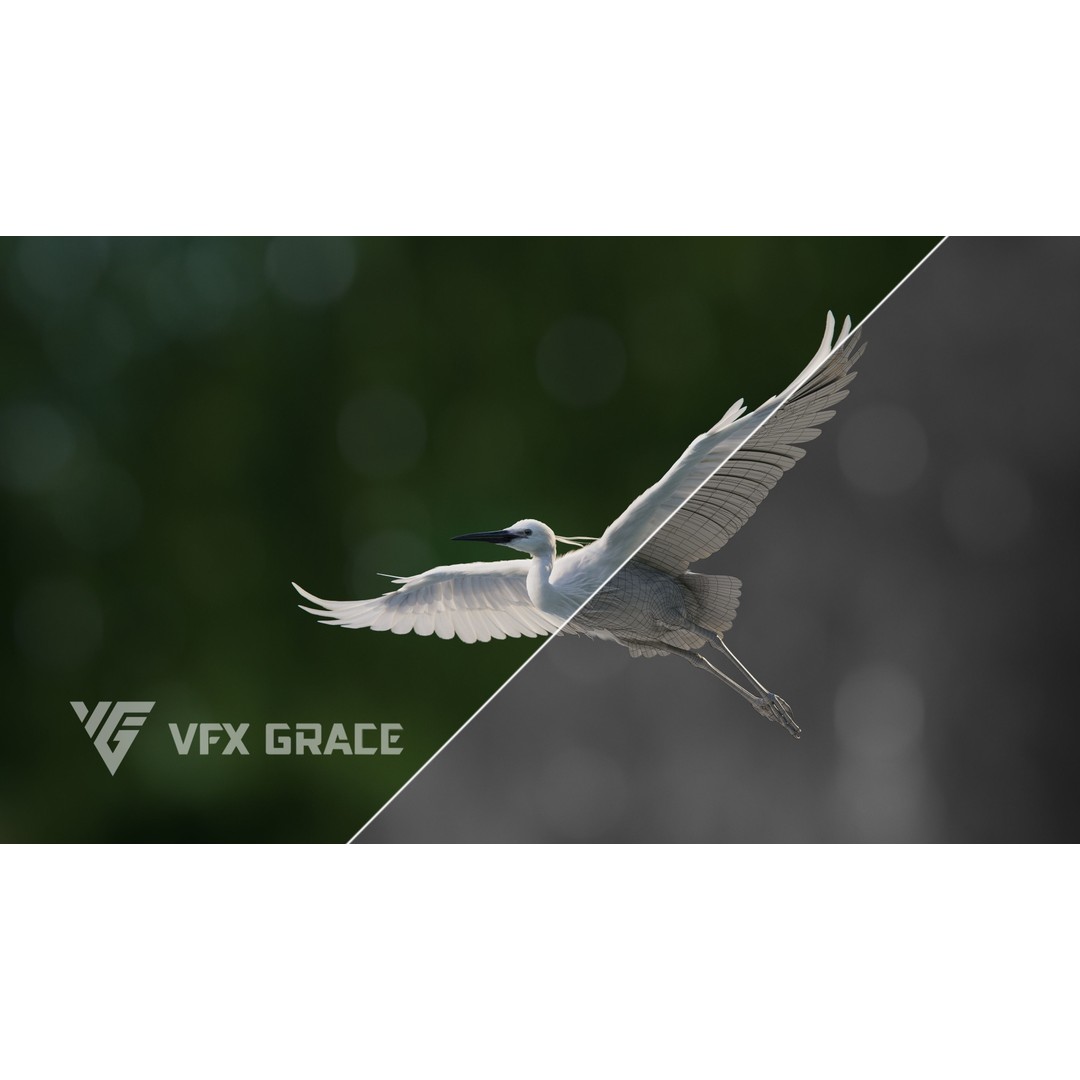 Egret 3D Model – Realistic Animated Bird with Rigging and Textures - View 6