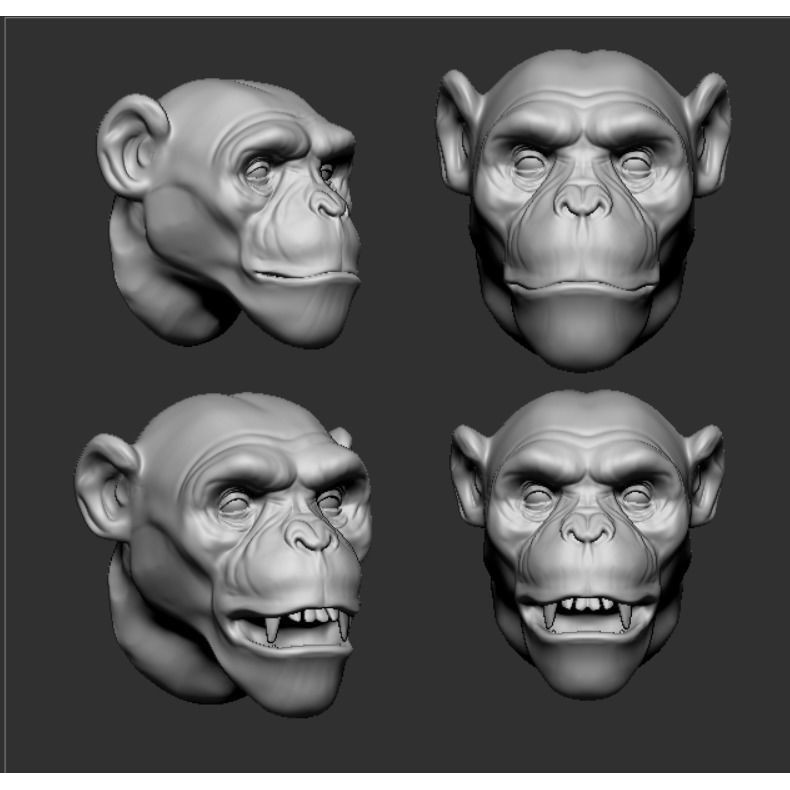ZRing Builder 2 3D Model – ZBrush Plugin for Jewelry Design