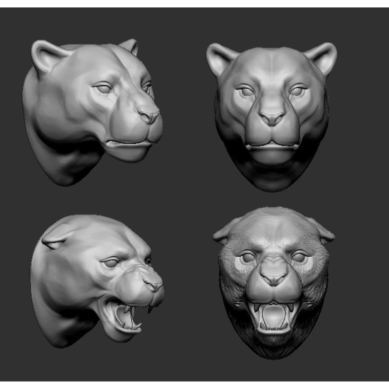 ZRing Builder 2 3D Model – ZBrush Plugin for Jewelry Design - View 6