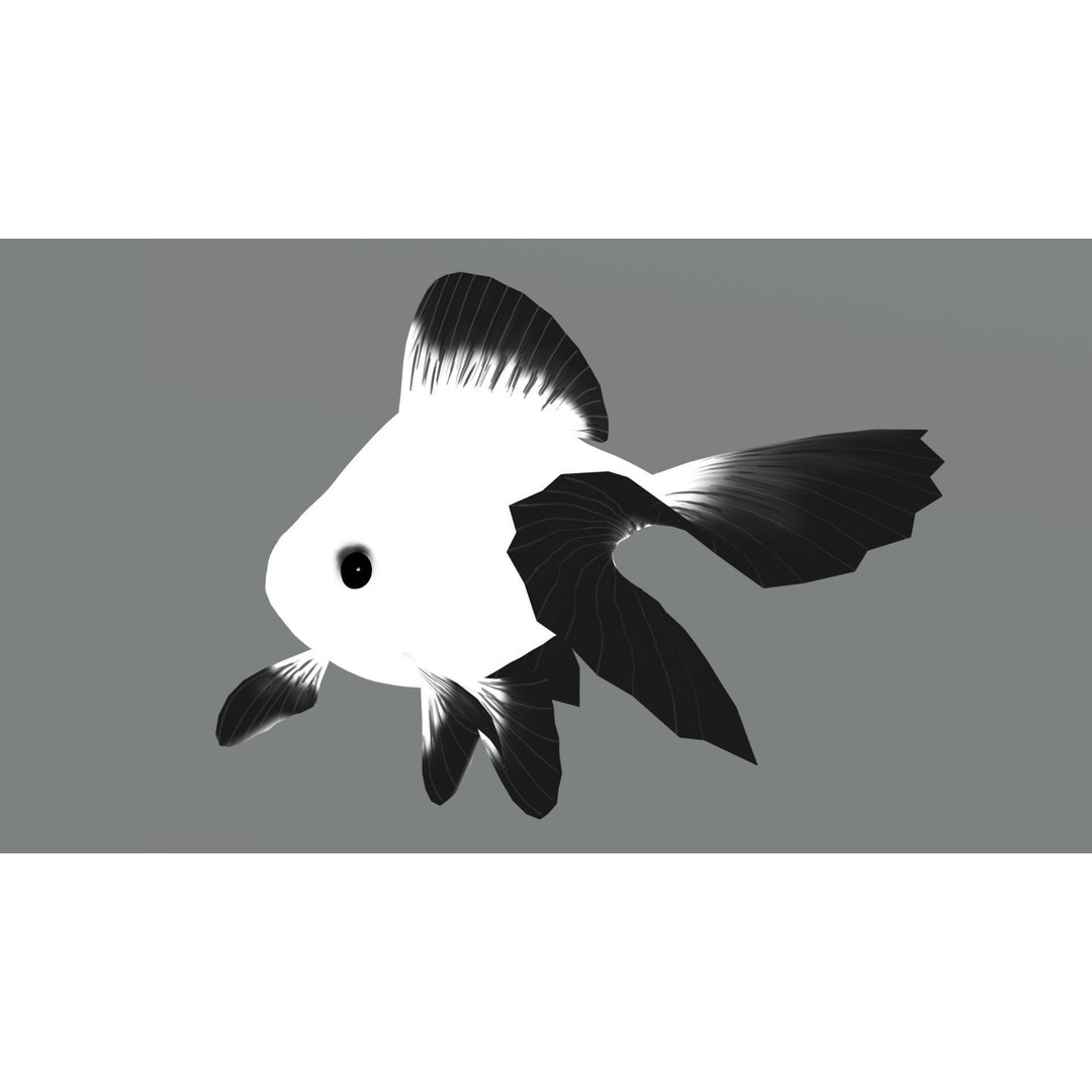 Tosakin Goldfish 3D Model – Low Poly Rigged Asset for Animation - View 10