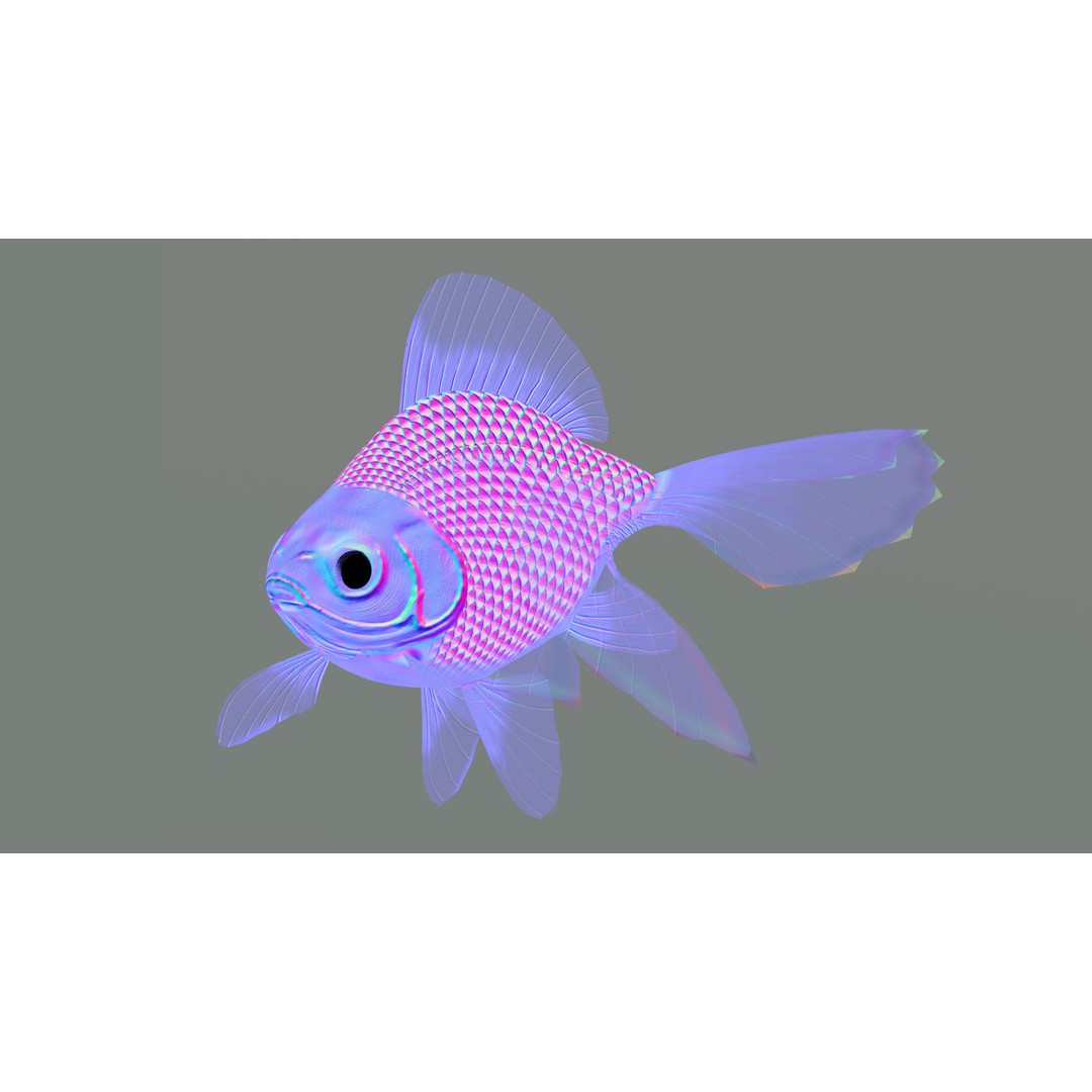 Tosakin Goldfish 3D Model – Low Poly Rigged Asset for Animation - View 11