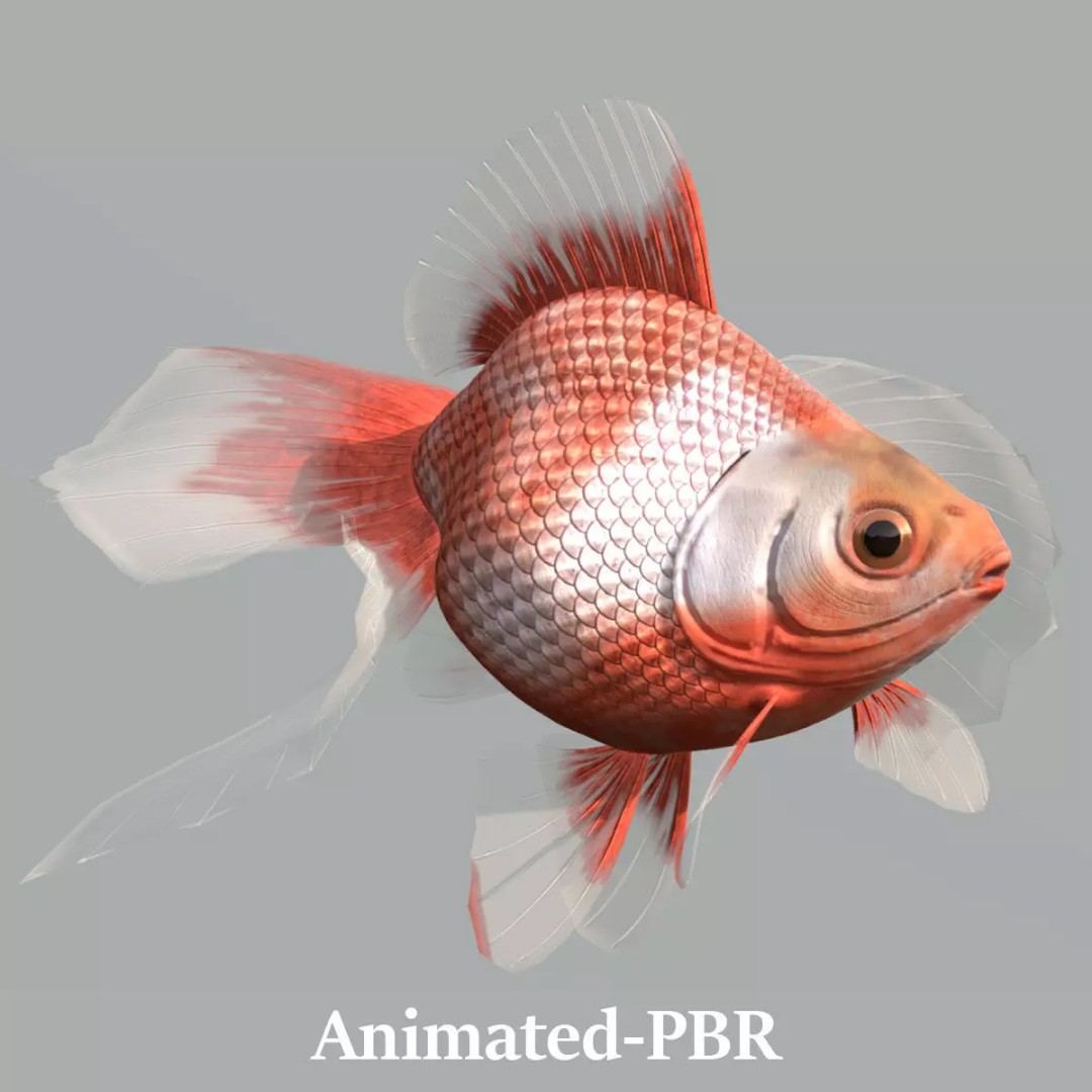 Tosakin Goldfish 3D Model – Low Poly Rigged Asset for Animation - View 2