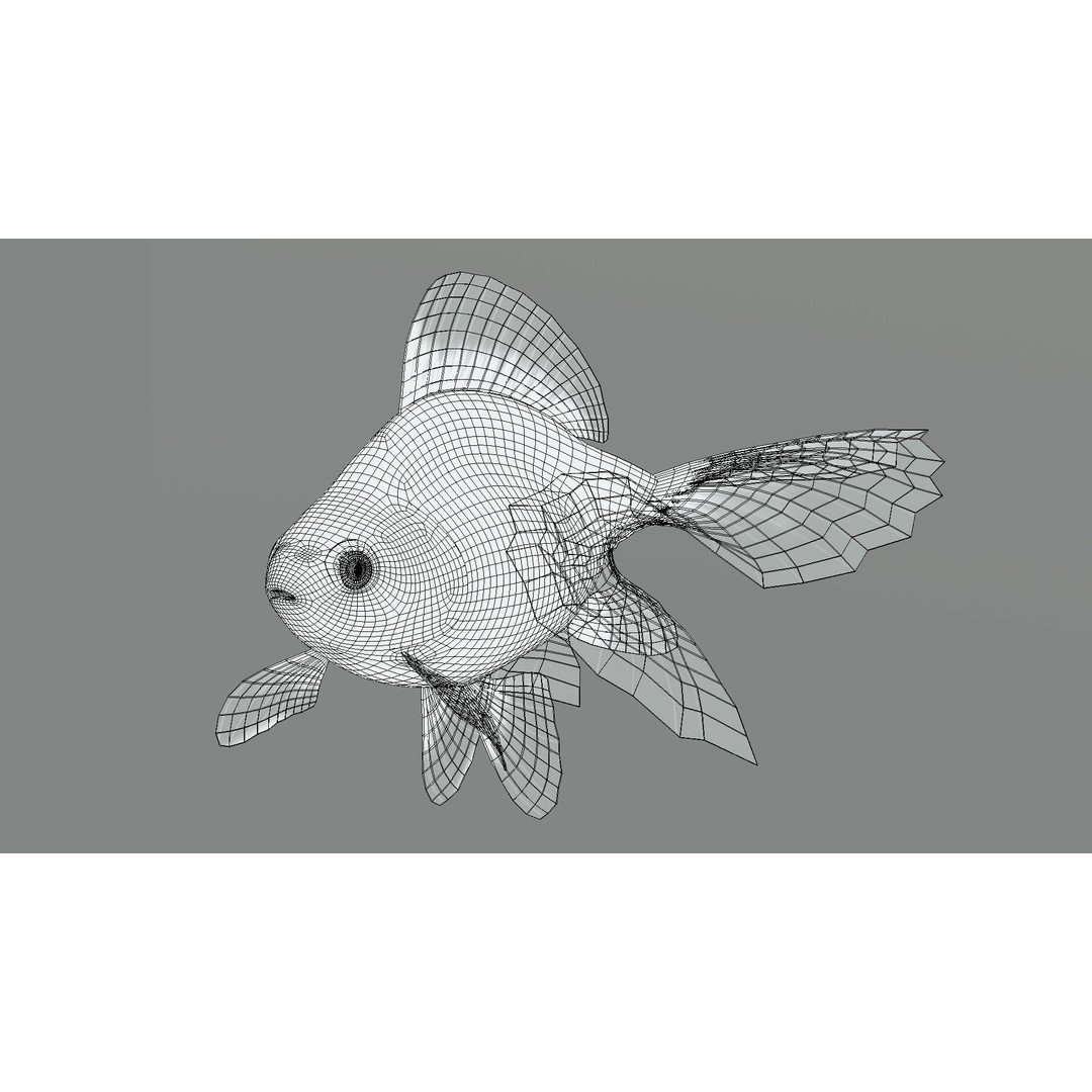 Tosakin Goldfish 3D Model – Low Poly Rigged Asset for Animation - View 8