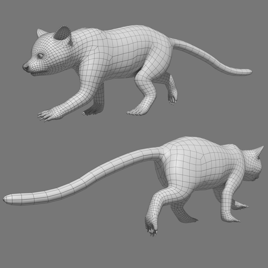 Red Panda 3D Model – Rigged Animated Character with PBR Textures - View 18