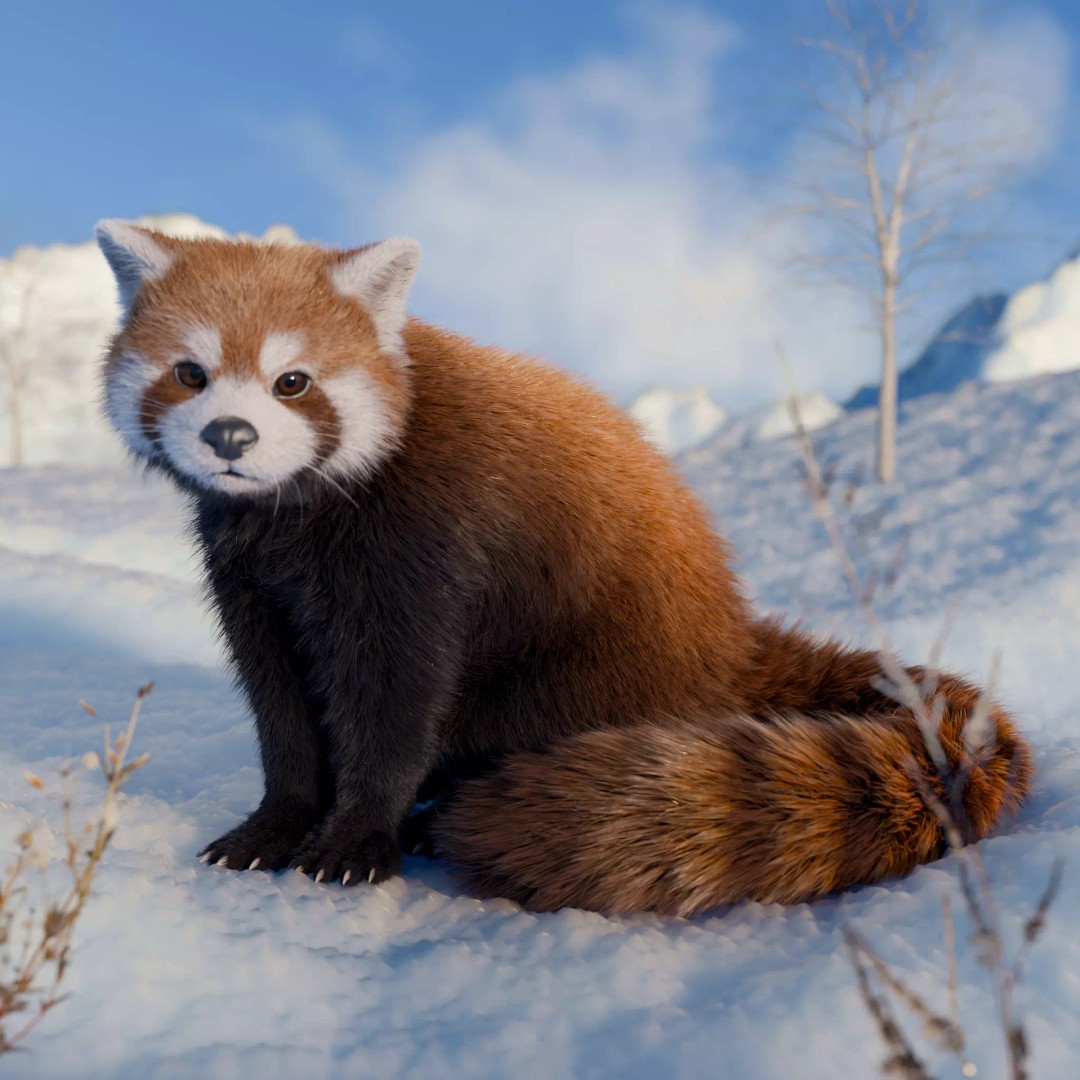 Red Panda 3D Model – Rigged Animated Character with PBR Textures - View 2