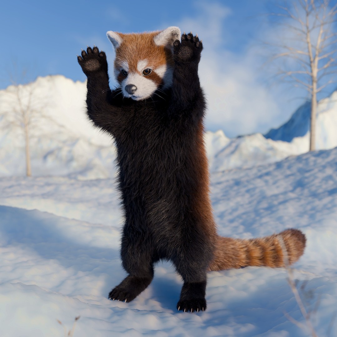 Red Panda 3D Model – Rigged Animated Character with PBR Textures - View 8