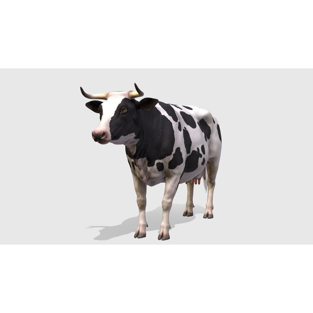 Realistic Cow 3D Model – Low Poly Rigged Asset with Animations, FBX - View 3