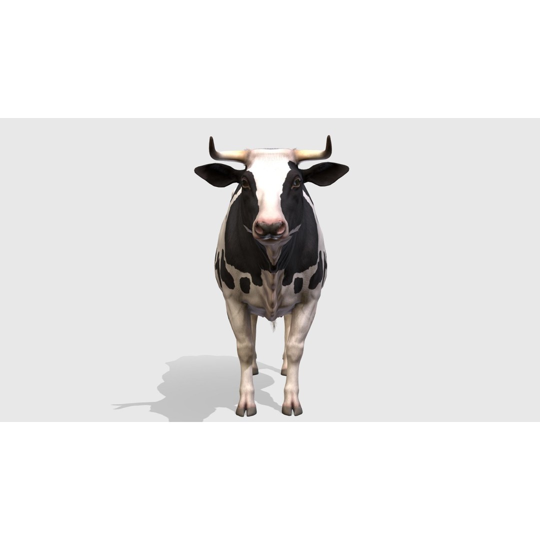 Realistic Cow 3D Model – Low Poly Rigged Asset with Animations, FBX - View 4