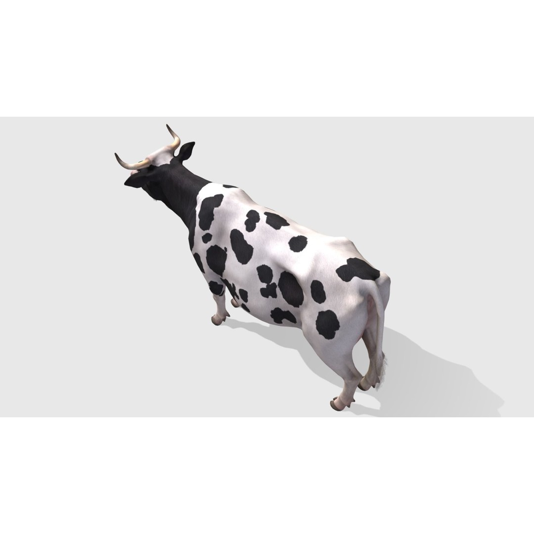 Realistic Cow 3D Model – Low Poly Rigged Asset with Animations, FBX - View 6