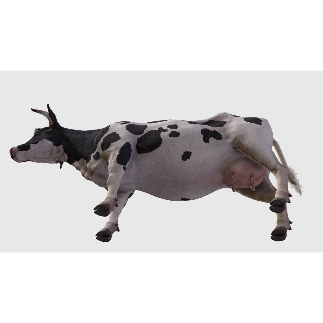 Realistic Cow 3D Model – Low Poly Rigged Asset with Animations, FBX - View 7
