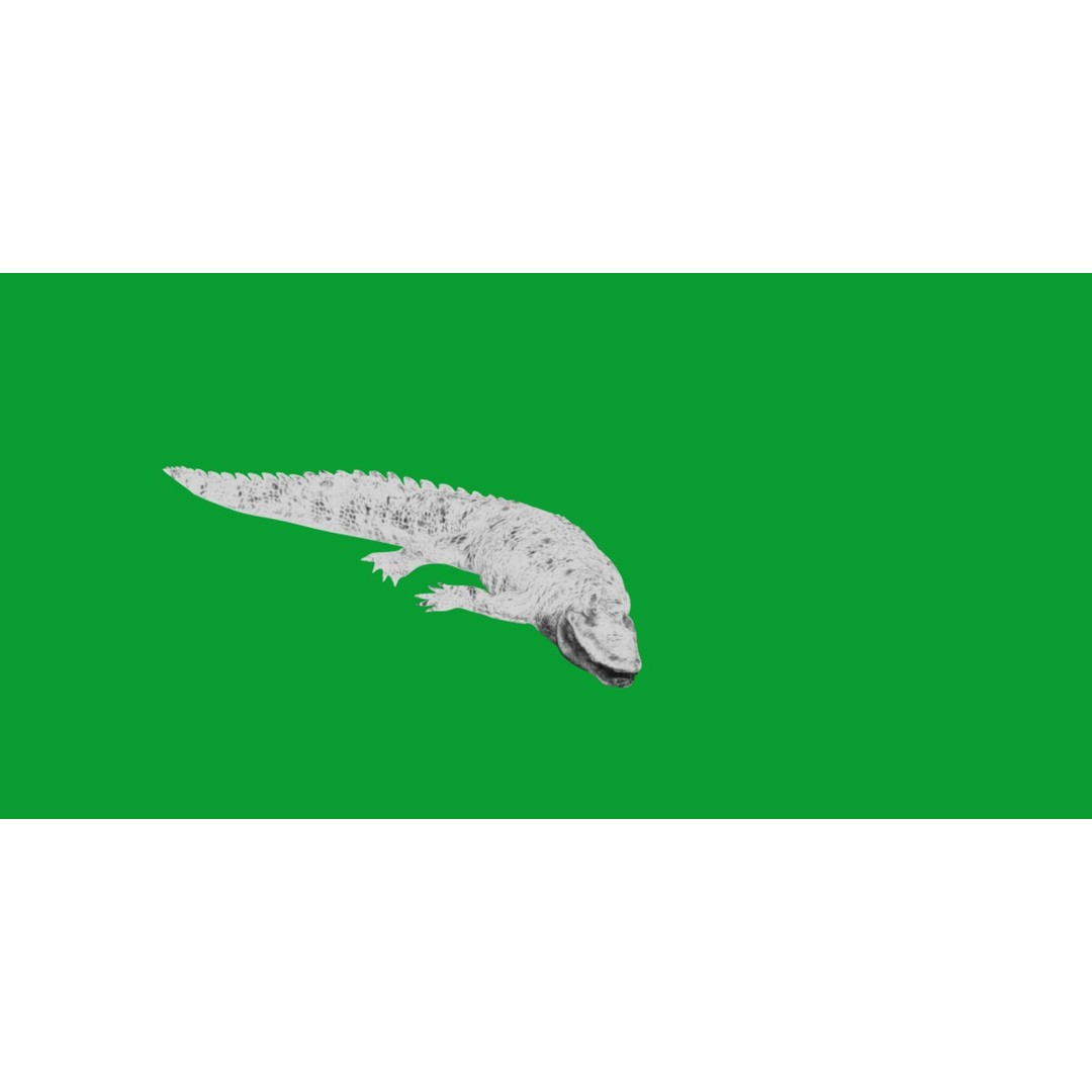 American Alligator 3D Model – Low Poly Rigged Creature, FBX, OBJ - View 10