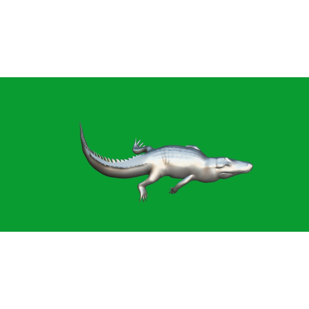 American Alligator 3D Model – Low Poly Rigged Creature, FBX, OBJ - View 14