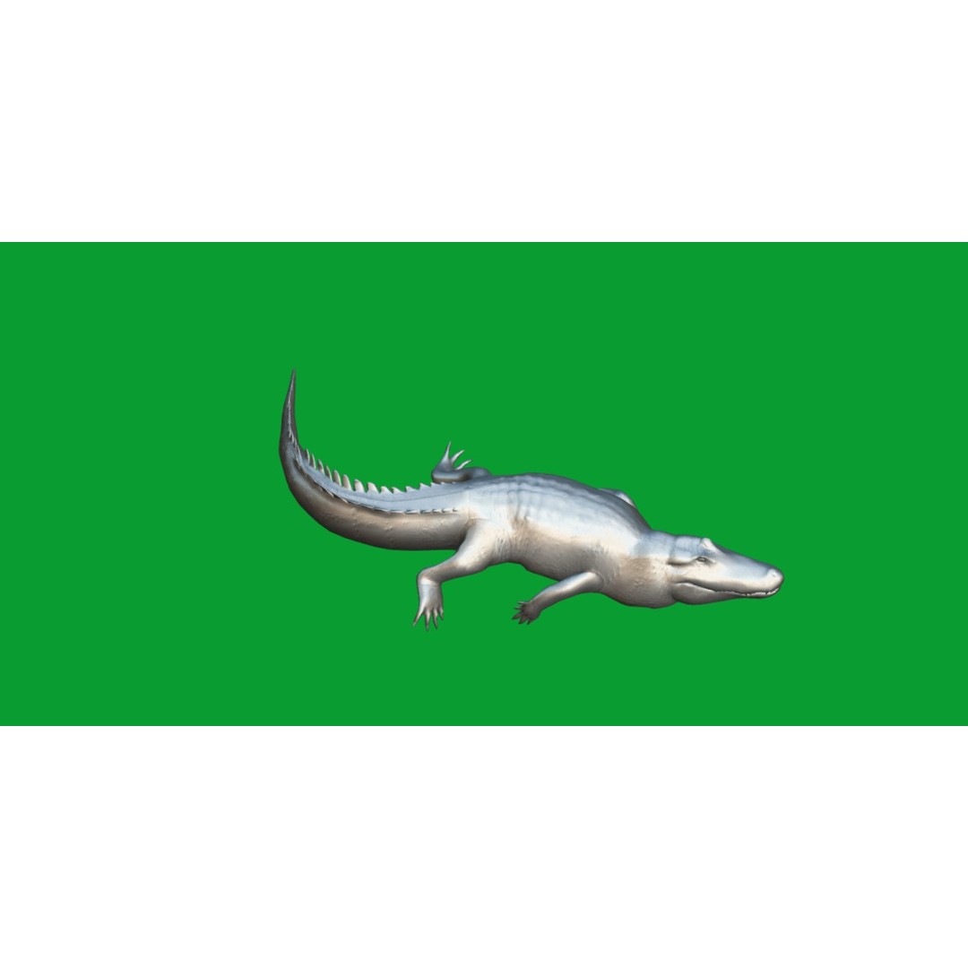 American Alligator 3D Model – Low Poly Rigged Creature, FBX, OBJ - View 15