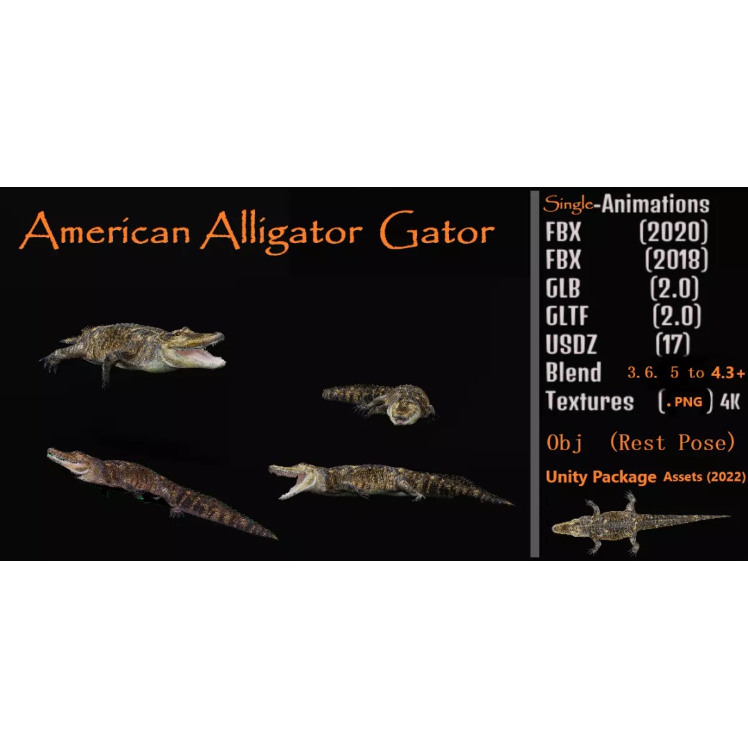 American Alligator 3D Model – Low Poly Rigged Creature, FBX, OBJ - View 2