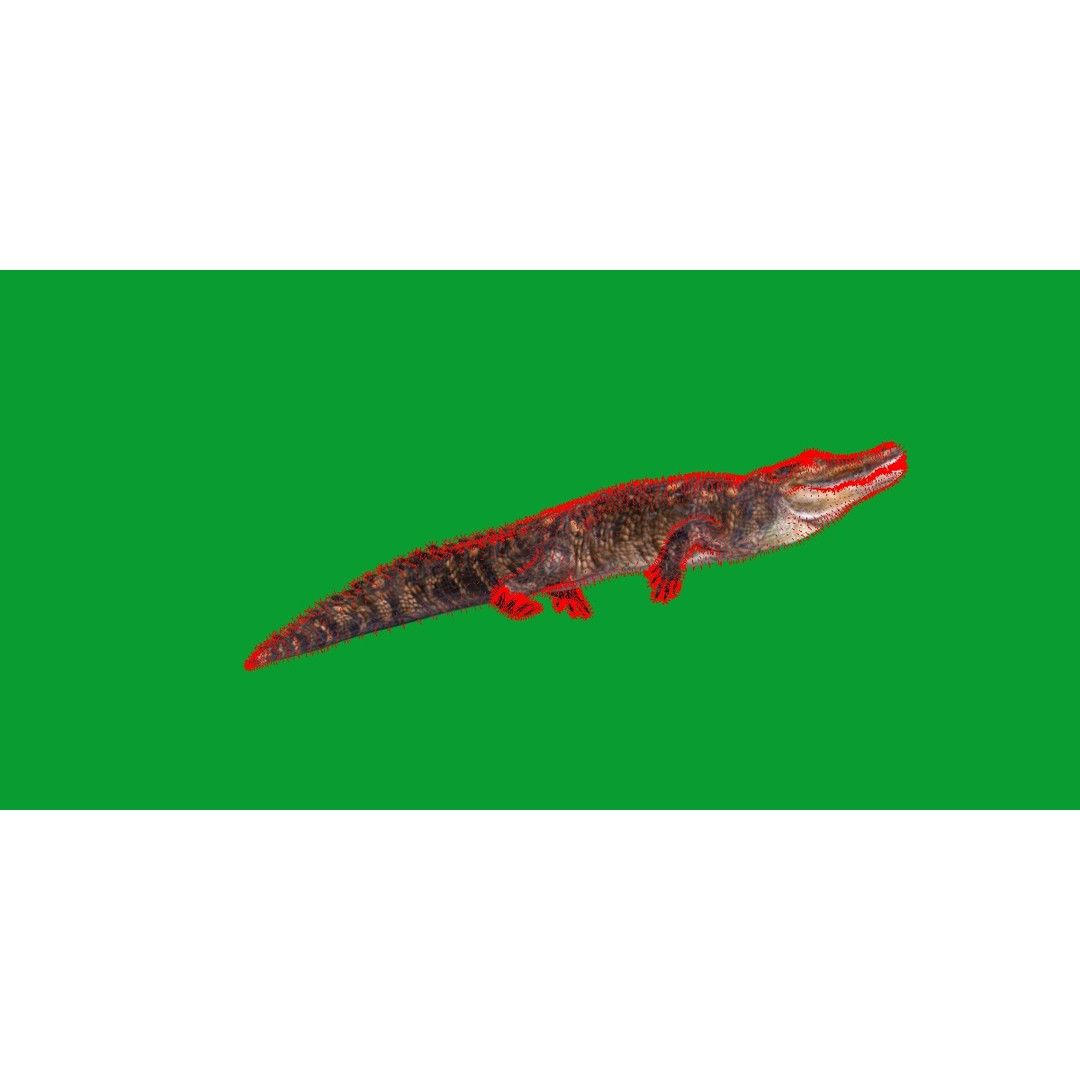 American Alligator 3D Model – Low Poly Rigged Creature, FBX, OBJ - View 20