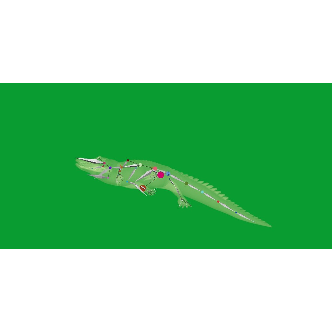 American Alligator 3D Model – Low Poly Rigged Creature, FBX, OBJ - View 27