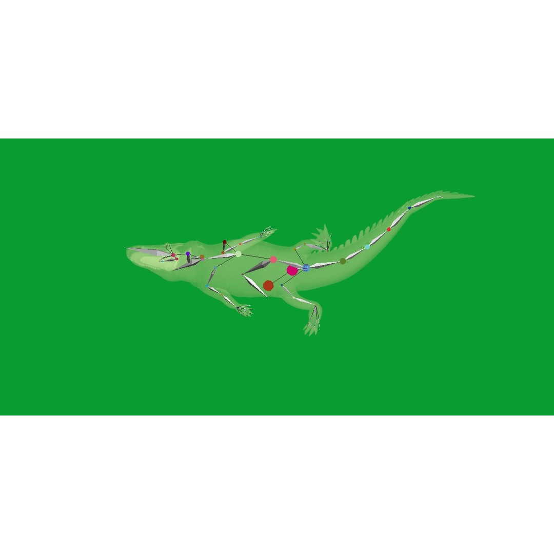American Alligator 3D Model – Low Poly Rigged Creature, FBX, OBJ - View 28