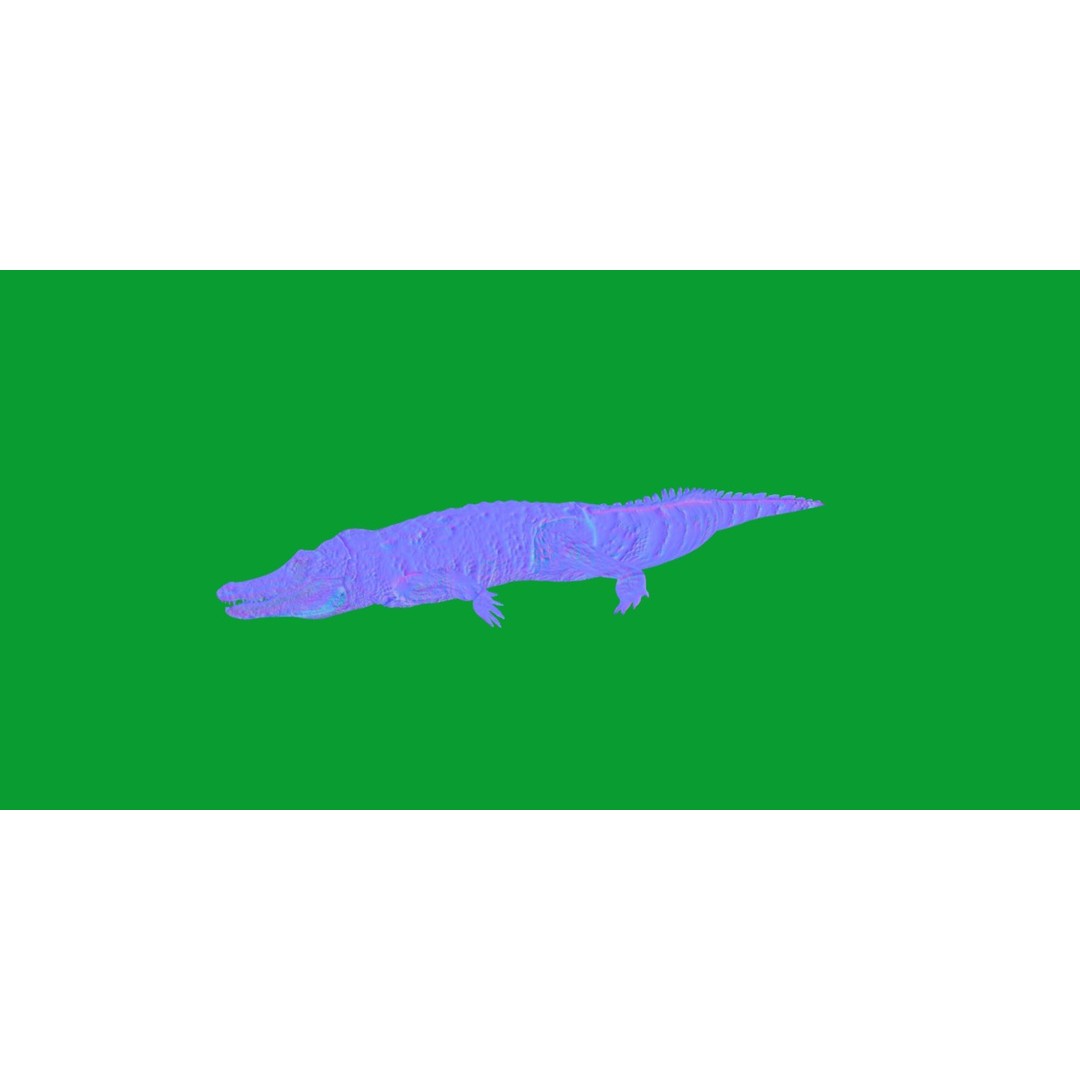 American Alligator 3D Model – Low Poly Rigged Creature, FBX, OBJ - View 9