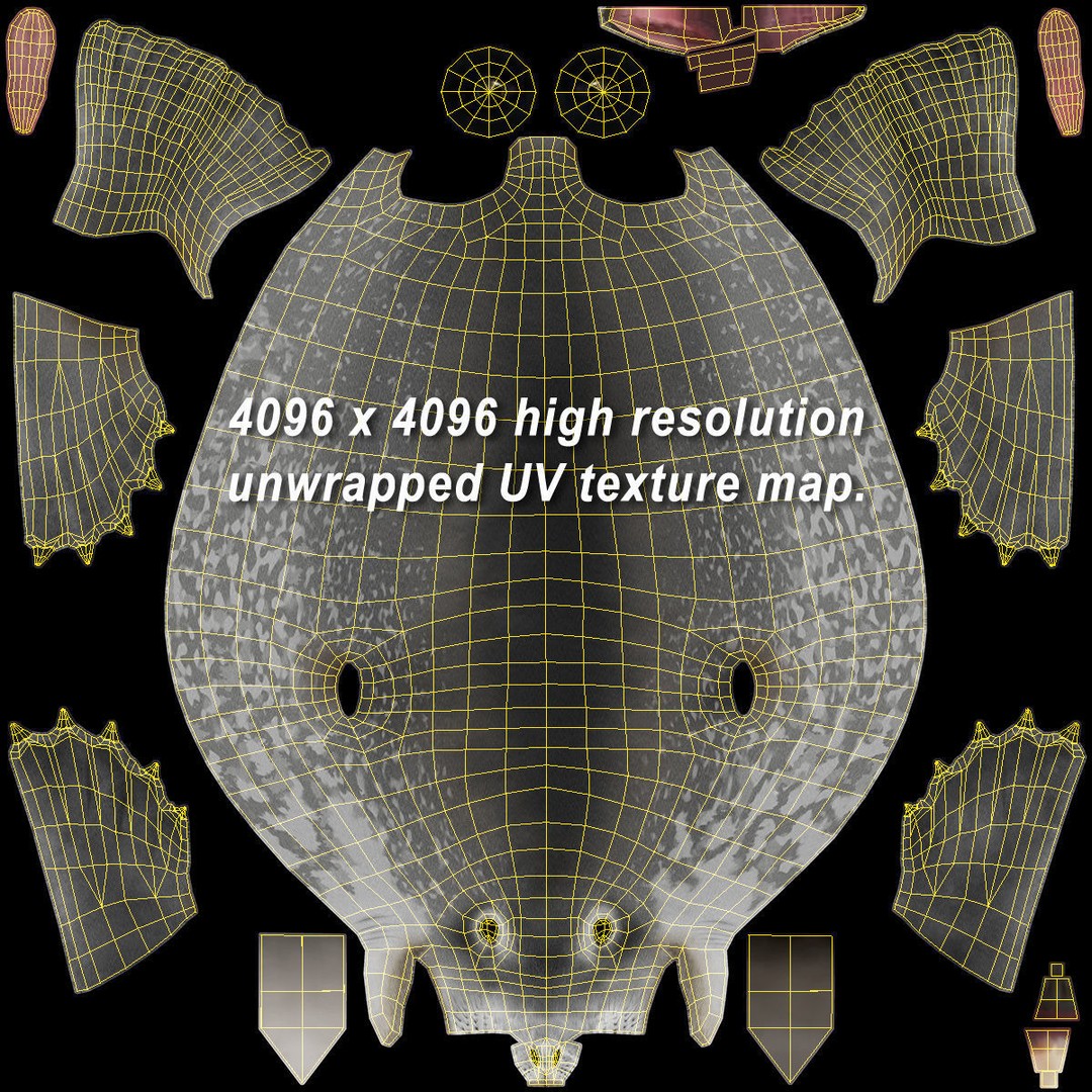 Weddell Seal 3D Model – Rigged Realistic Animal Asset, FBX