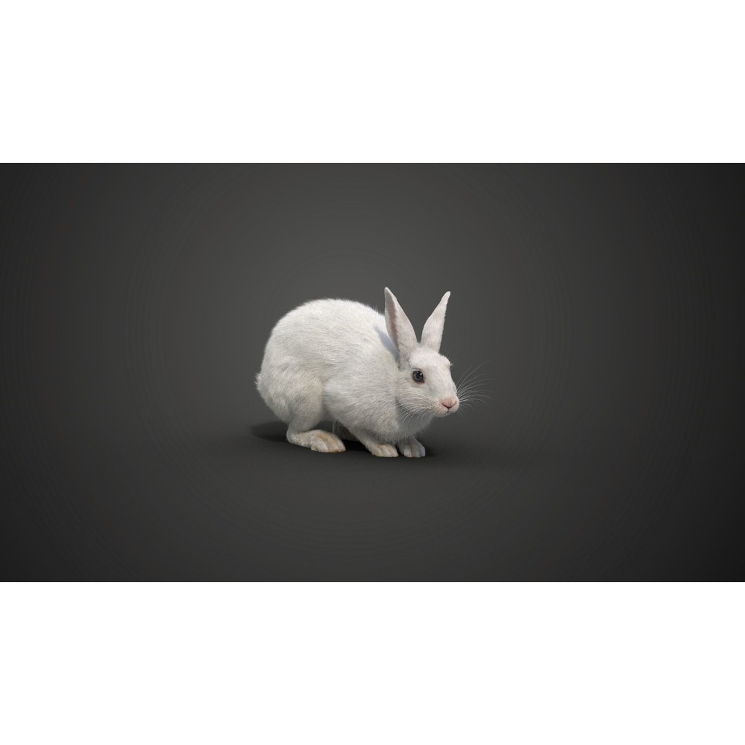 White Rabbit 3D Model – Animated Rigged Character with PBR Textures - View 10
