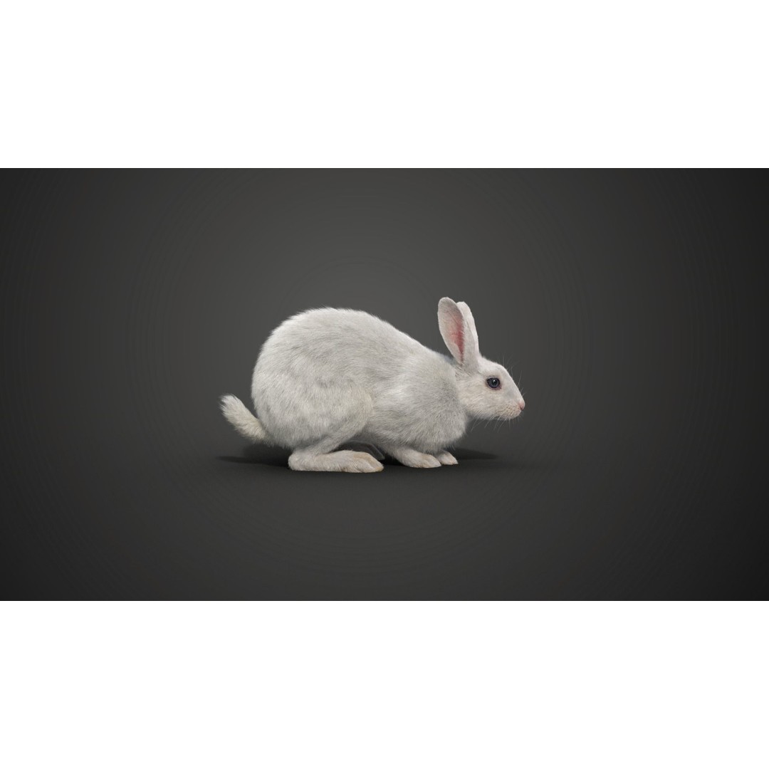 White Rabbit 3D Model – Animated Rigged Character with PBR Textures - View 11