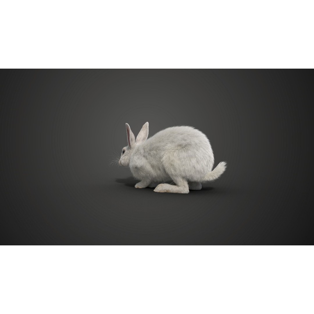 White Rabbit 3D Model – Animated Rigged Character with PBR Textures - View 12