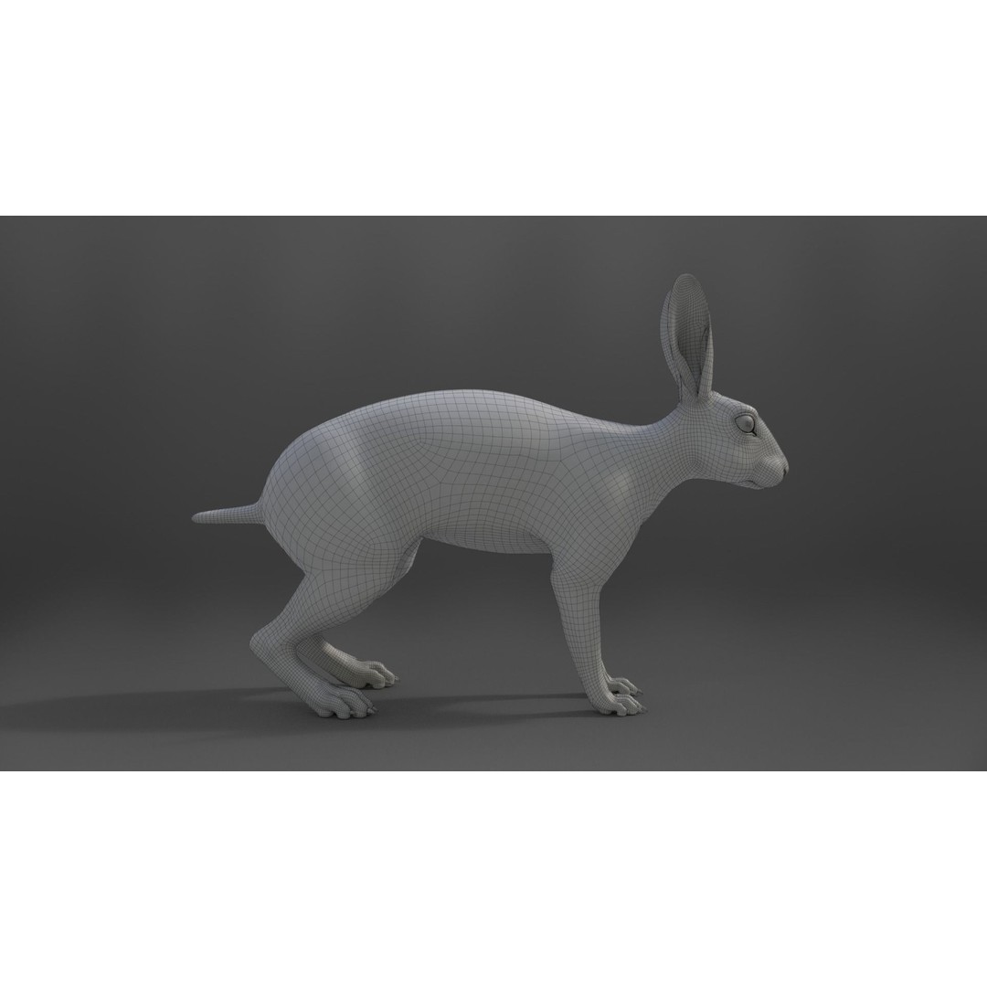White Rabbit 3D Model – Animated Rigged Character with PBR Textures - View 23