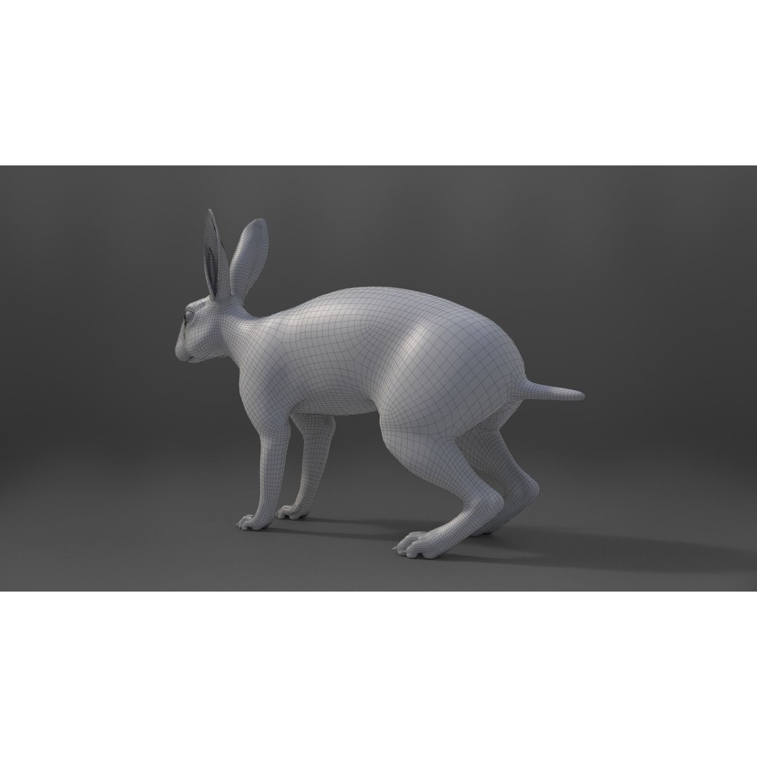 White Rabbit 3D Model – Animated Rigged Character with PBR Textures - View 24