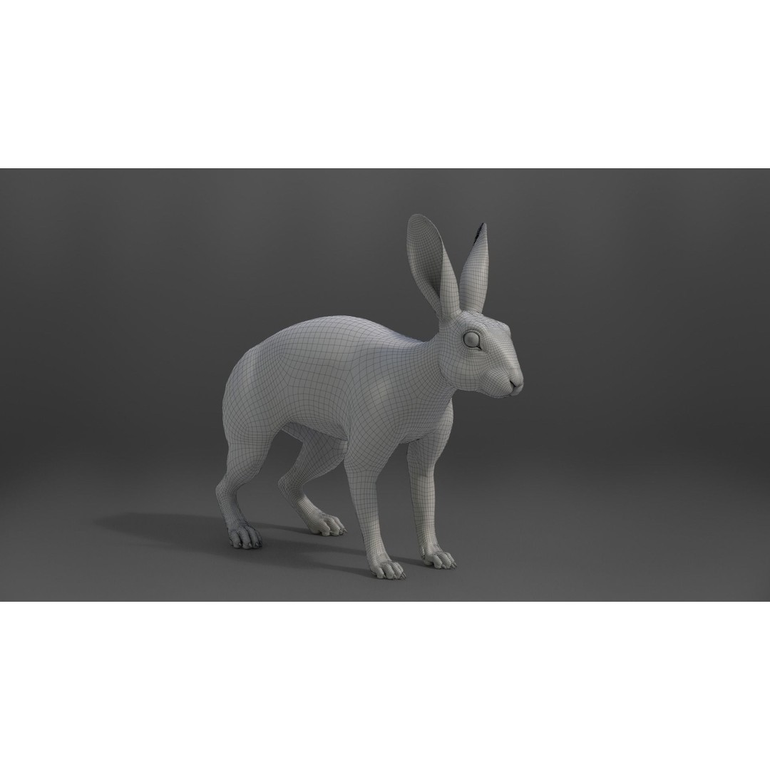 White Rabbit 3D Model – Animated Rigged Character with PBR Textures - View 25
