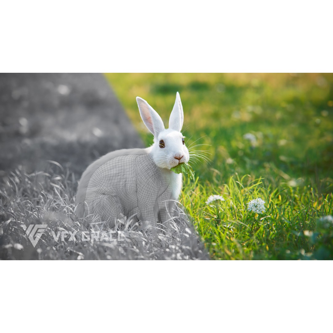 White Rabbit 3D Model – Animated Rigged Character with PBR Textures - View 3