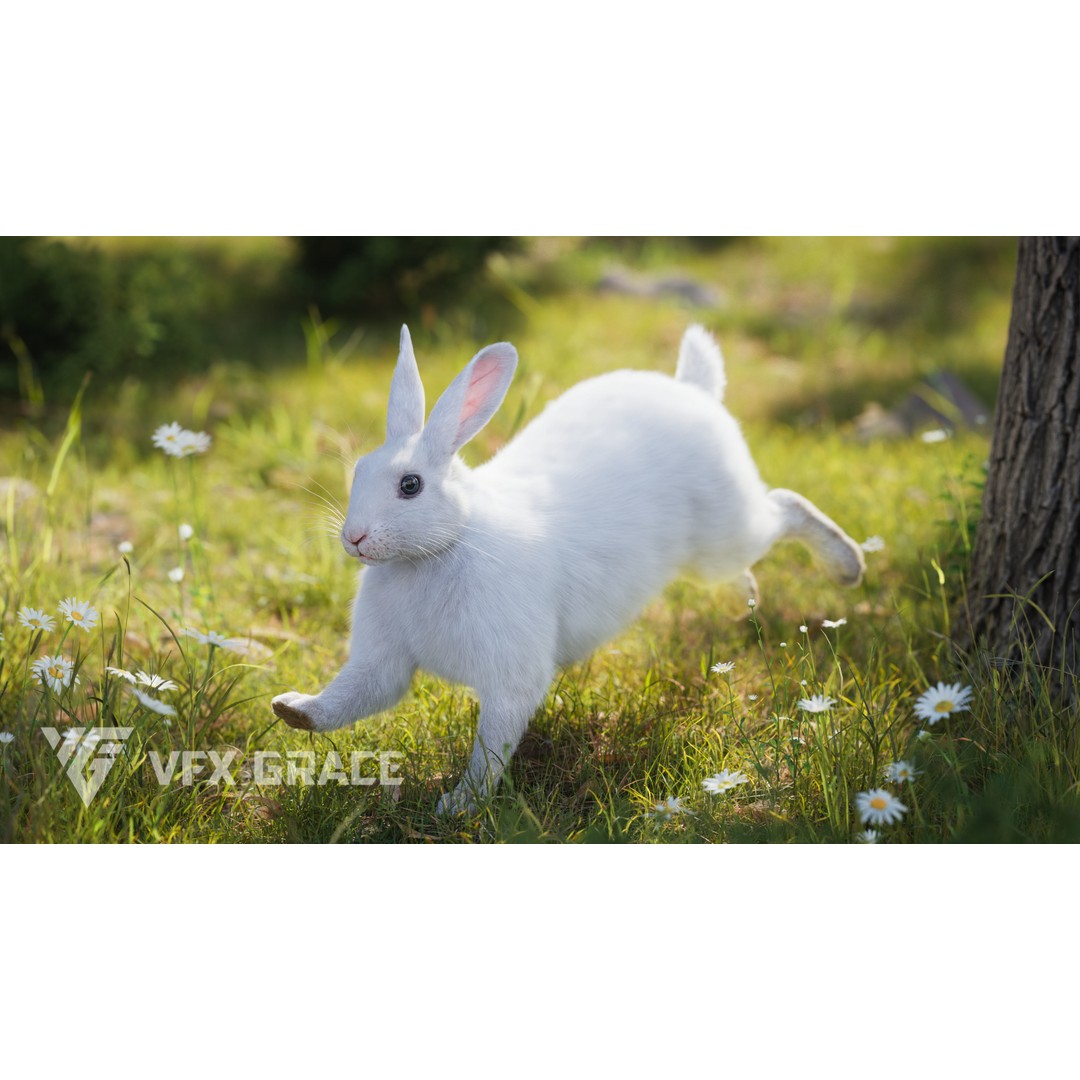 White Rabbit 3D Model – Animated Rigged Character with PBR Textures - View 4