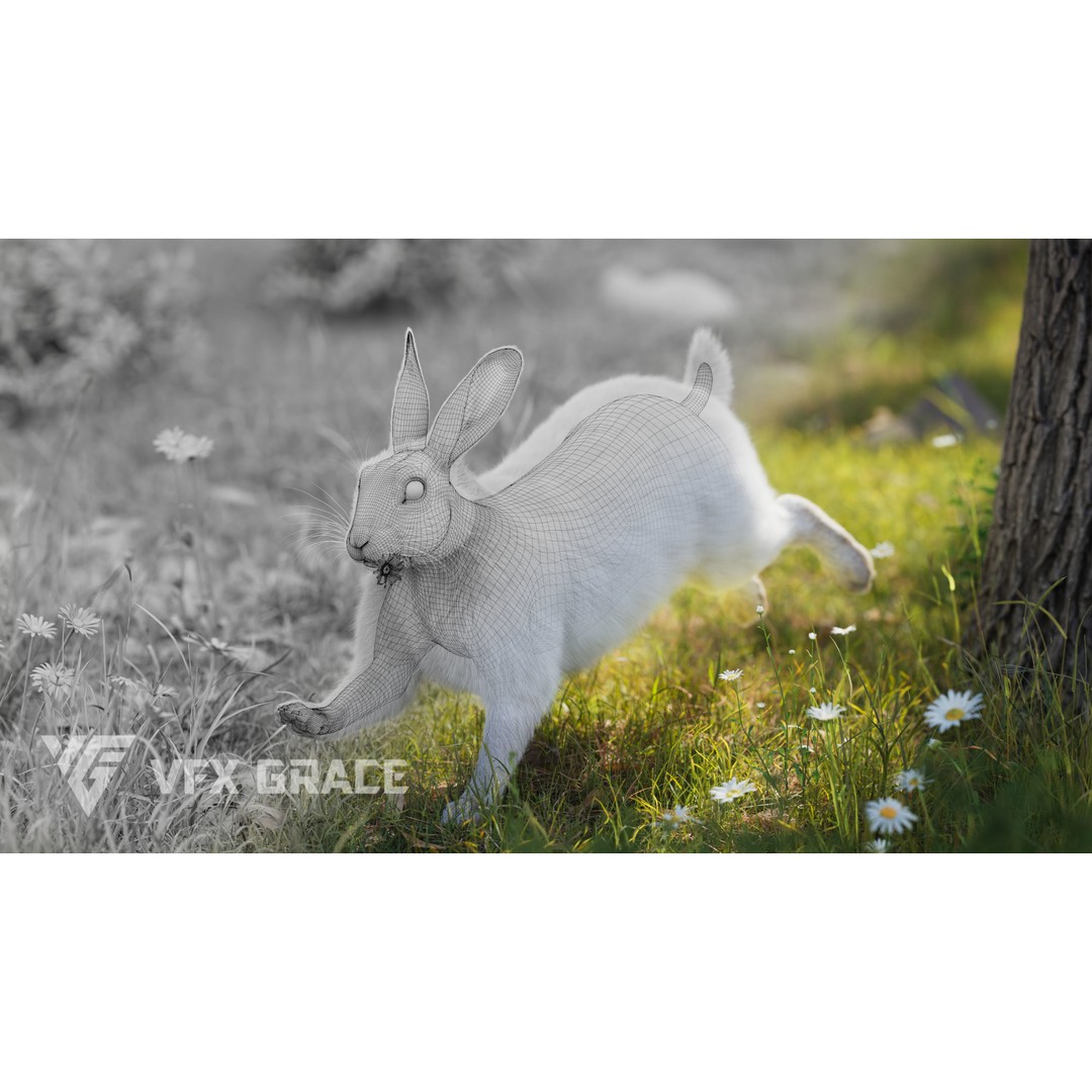 White Rabbit 3D Model – Animated Rigged Character with PBR Textures - View 5
