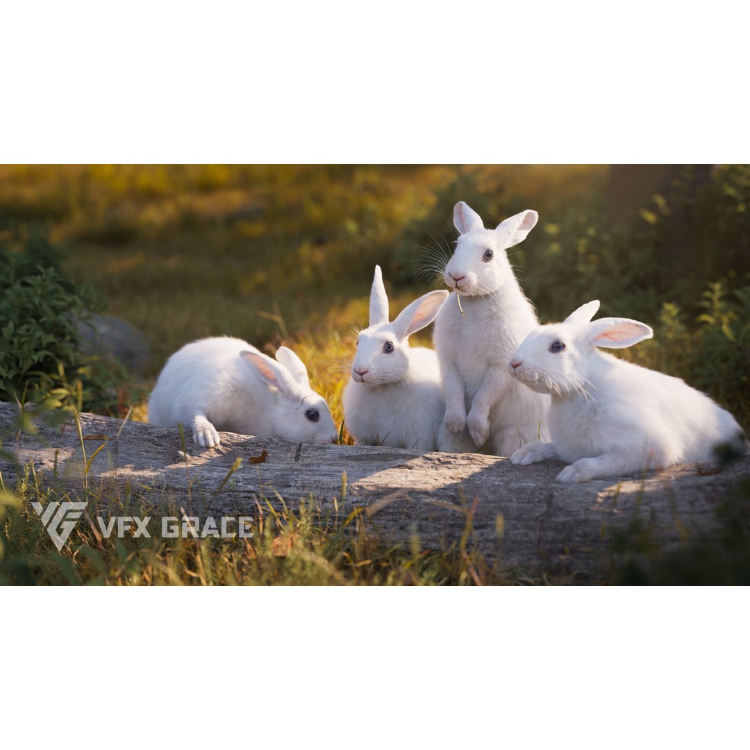 White Rabbit 3D Model – Animated Rigged Character with PBR Textures - View 6