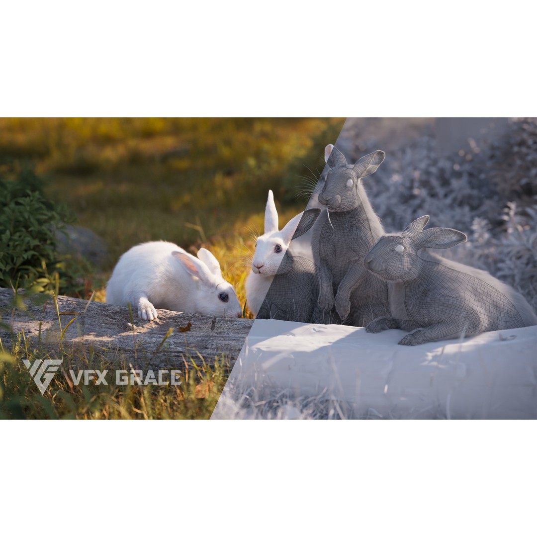 White Rabbit 3D Model – Animated Rigged Character with PBR Textures - View 7