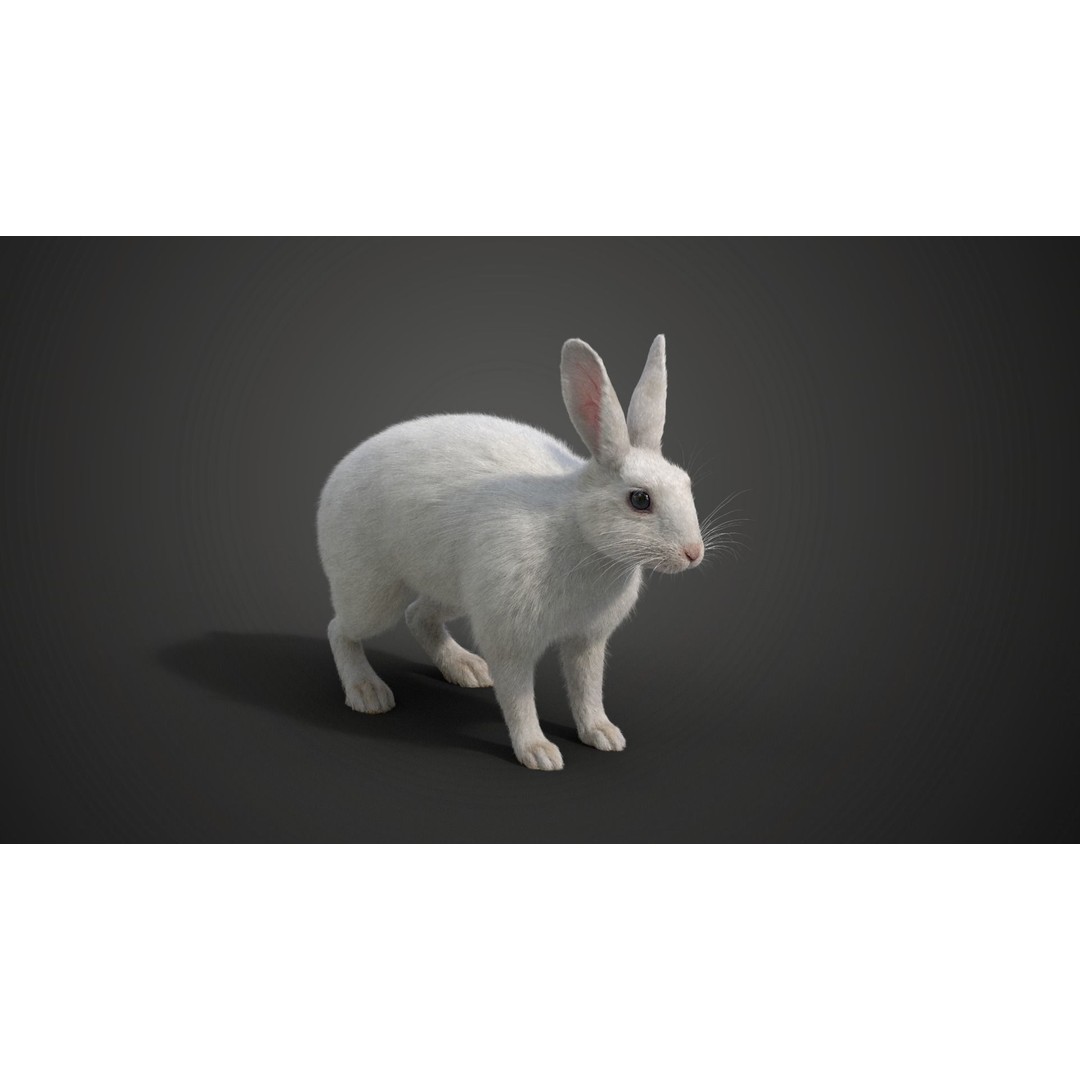 White Rabbit 3D Model – Animated Rigged Character with PBR Textures - View 8