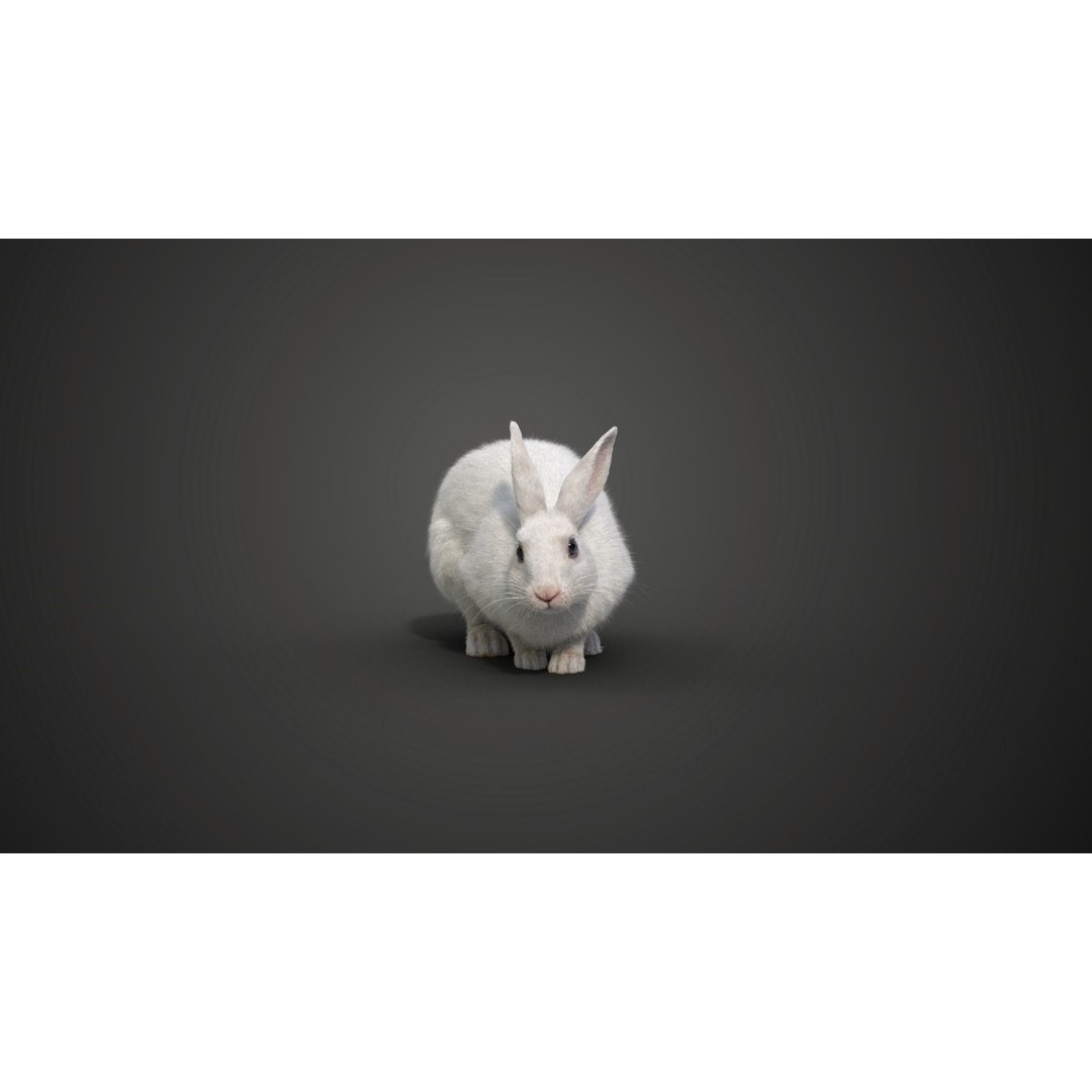 White Rabbit 3D Model – Animated Rigged Character with PBR Textures - View 9