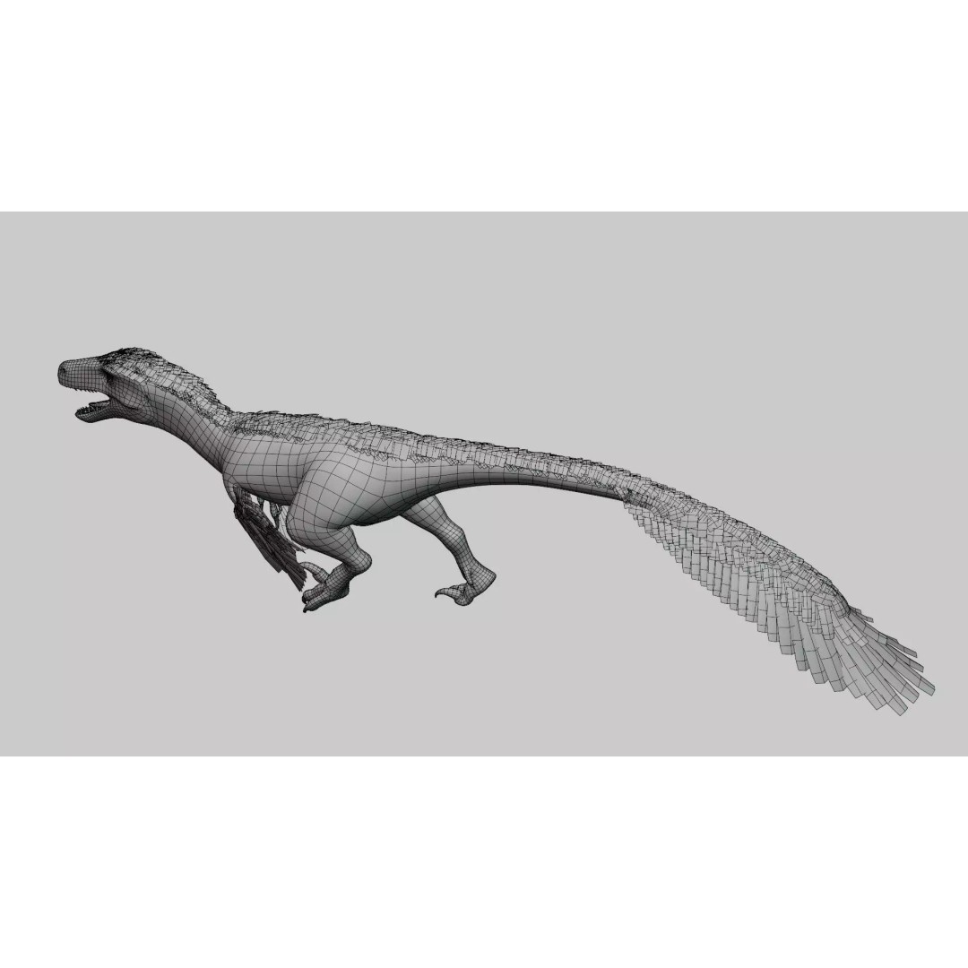 Utahraptor 3D Model – Low Poly Rigged Dinosaur with PBR Textures - View 11