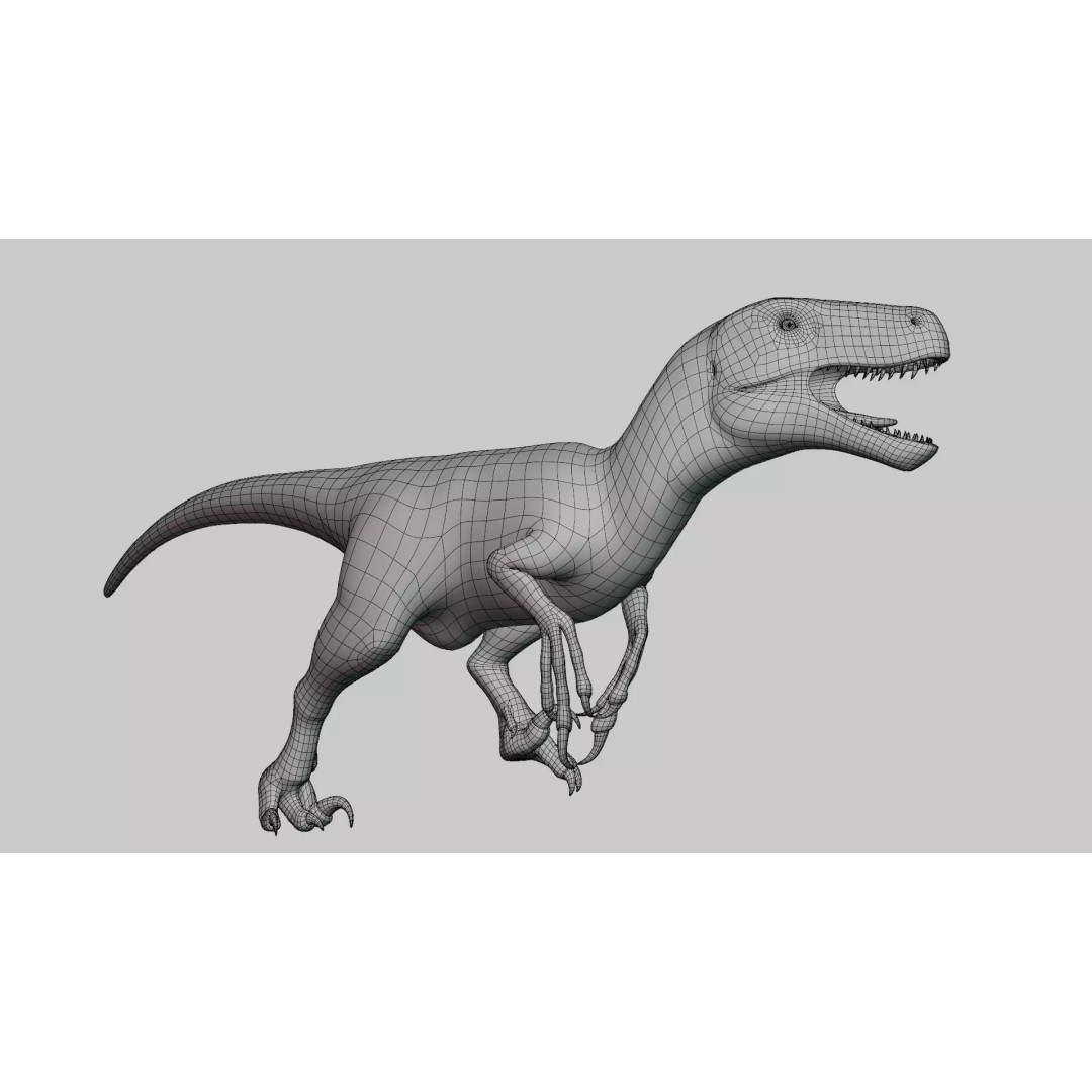 Utahraptor 3D Model – Low Poly Rigged Dinosaur with PBR Textures - View 13