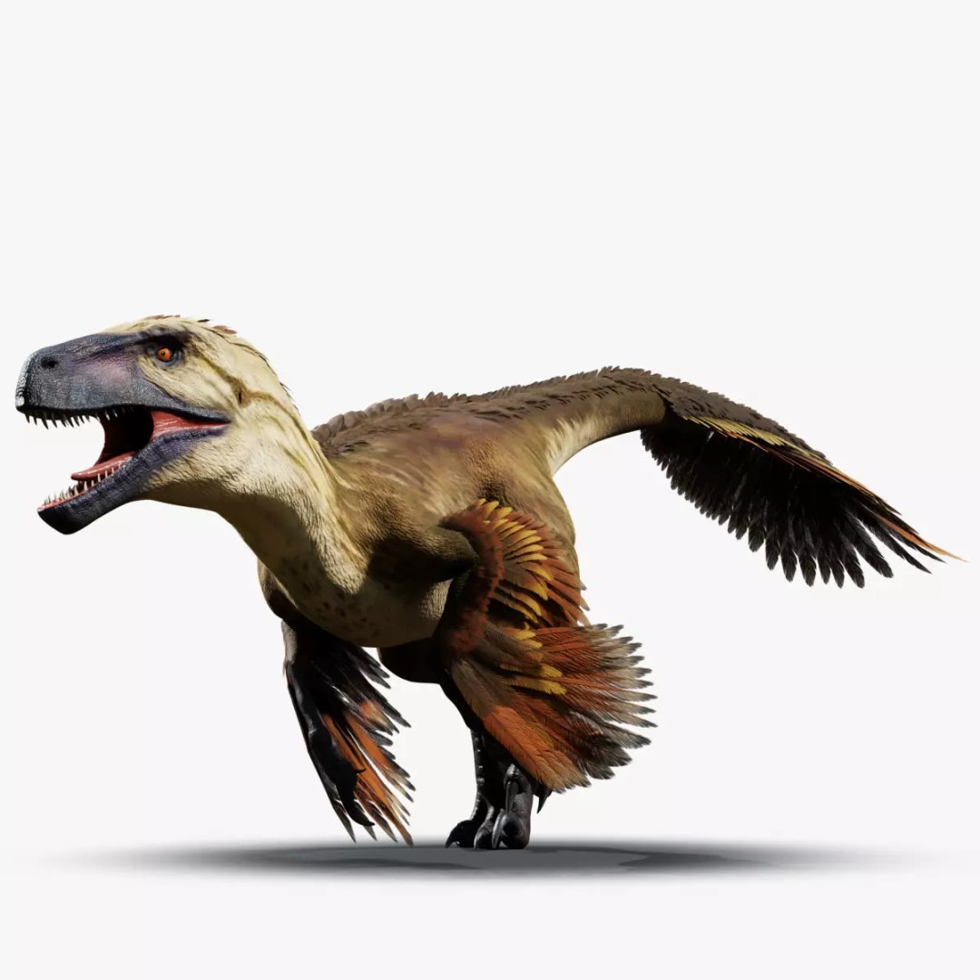Utahraptor 3D Model – Low Poly Rigged Dinosaur with PBR Textures - View 2