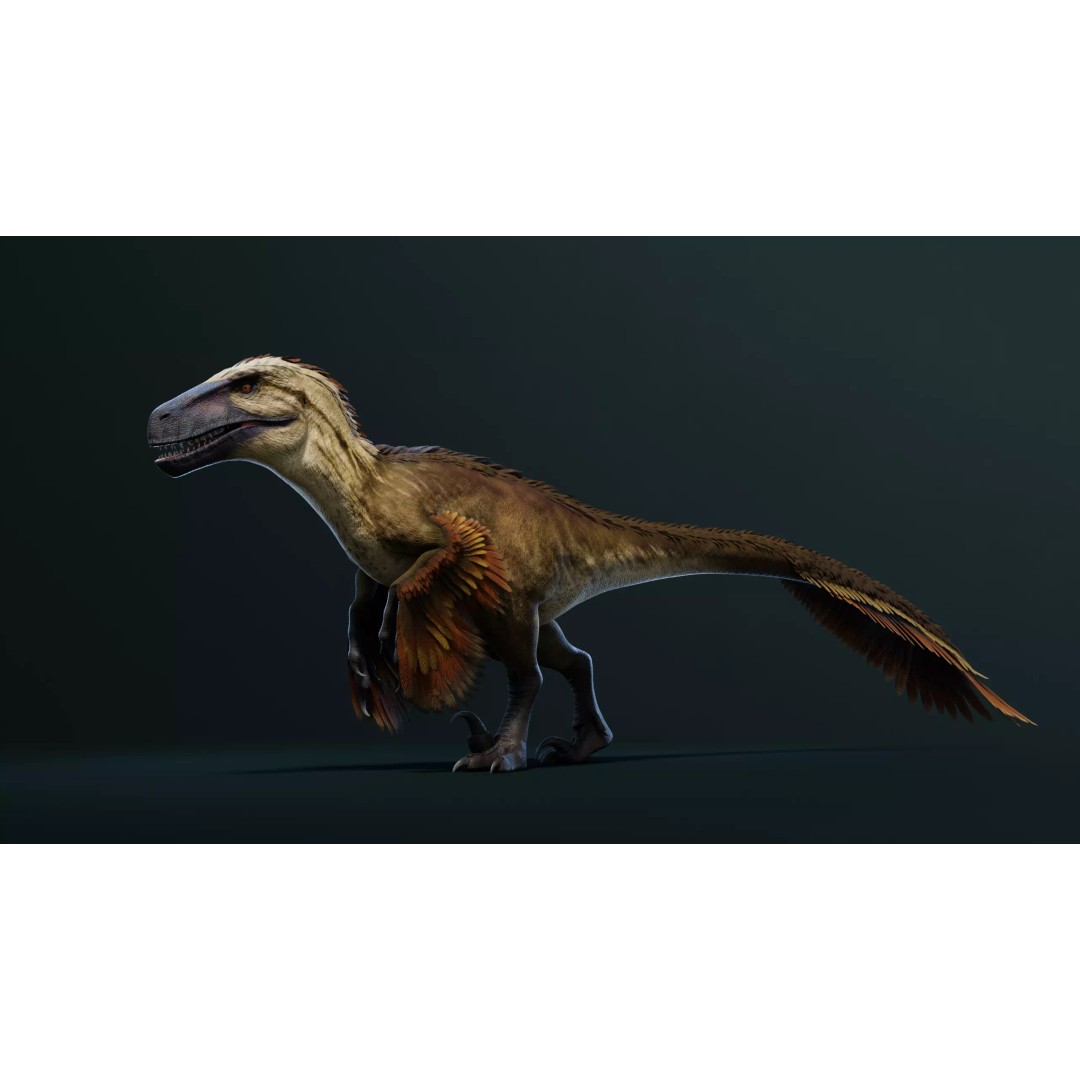 Utahraptor 3D Model – Low Poly Rigged Dinosaur with PBR Textures - View 3