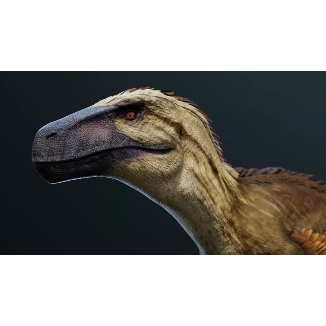 Utahraptor 3D Model – Low Poly Rigged Dinosaur with PBR Textures - View 4