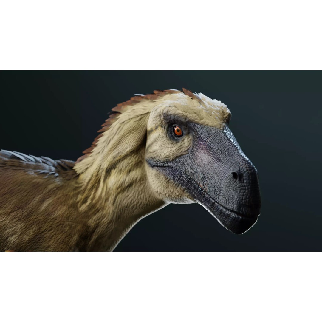 Utahraptor 3D Model – Low Poly Rigged Dinosaur with PBR Textures - View 5