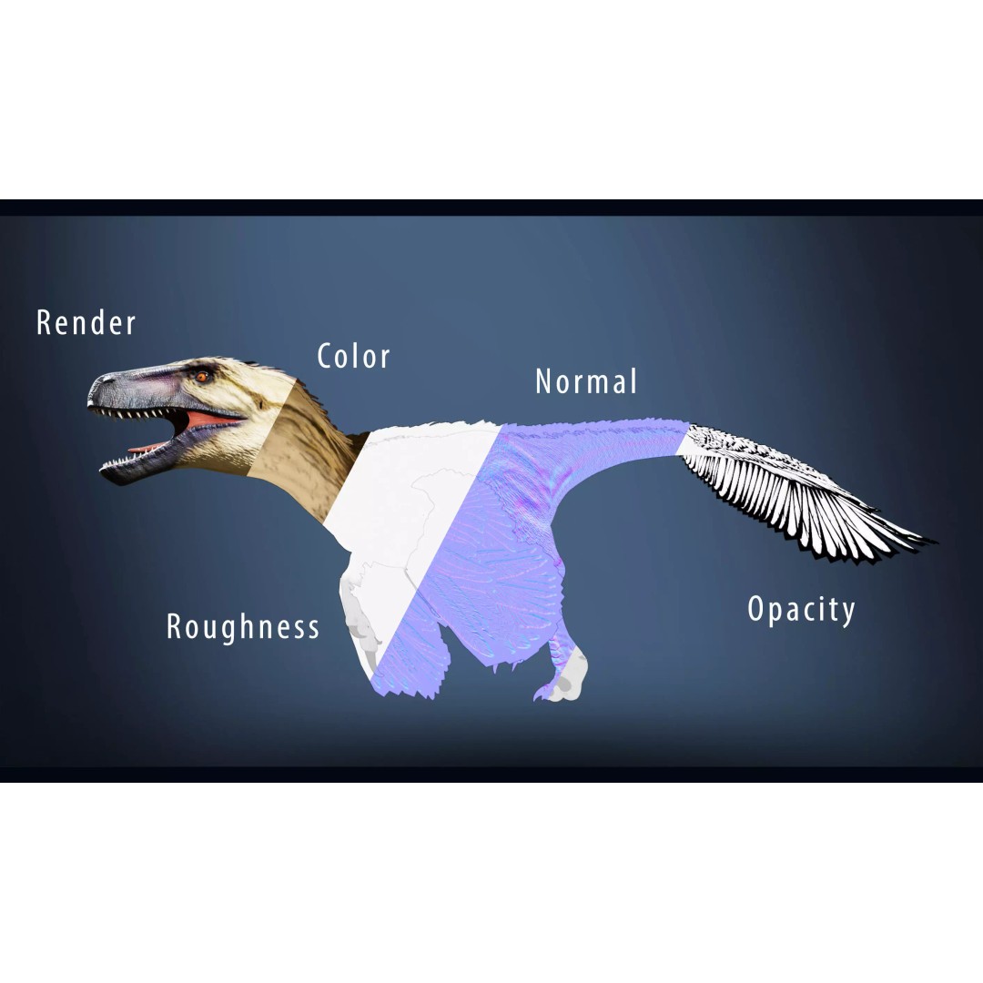 Utahraptor 3D Model – Low Poly Rigged Dinosaur with PBR Textures - View 9