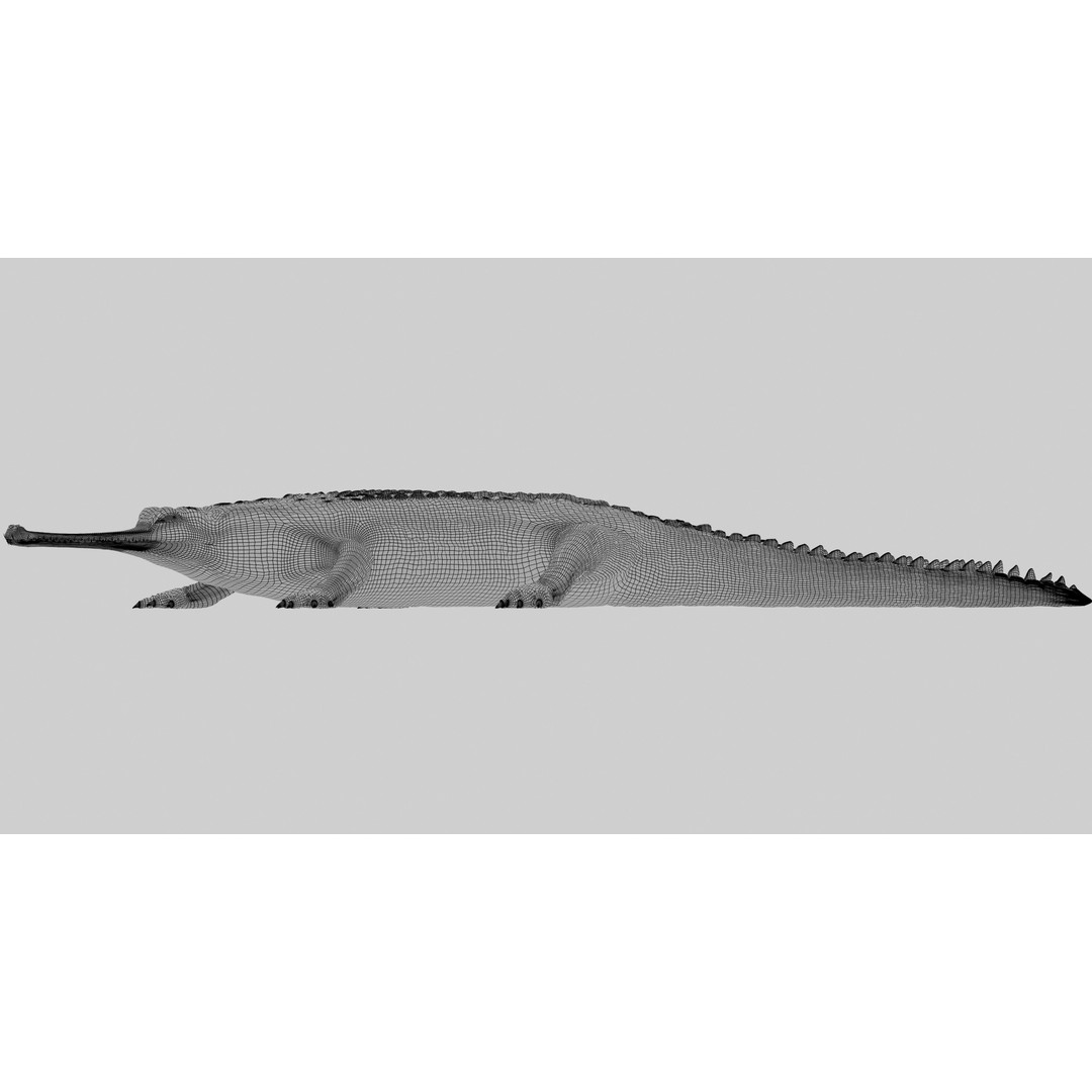 Realistic Gharial 3D Model – Rigged Low-Poly Game Asset, FBX, OBJ