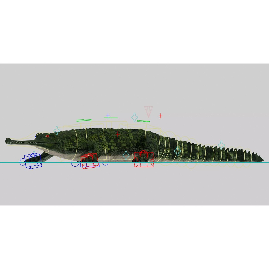 Realistic Gharial 3D Model – Rigged Low-Poly Game Asset, FBX, OBJ - View 2