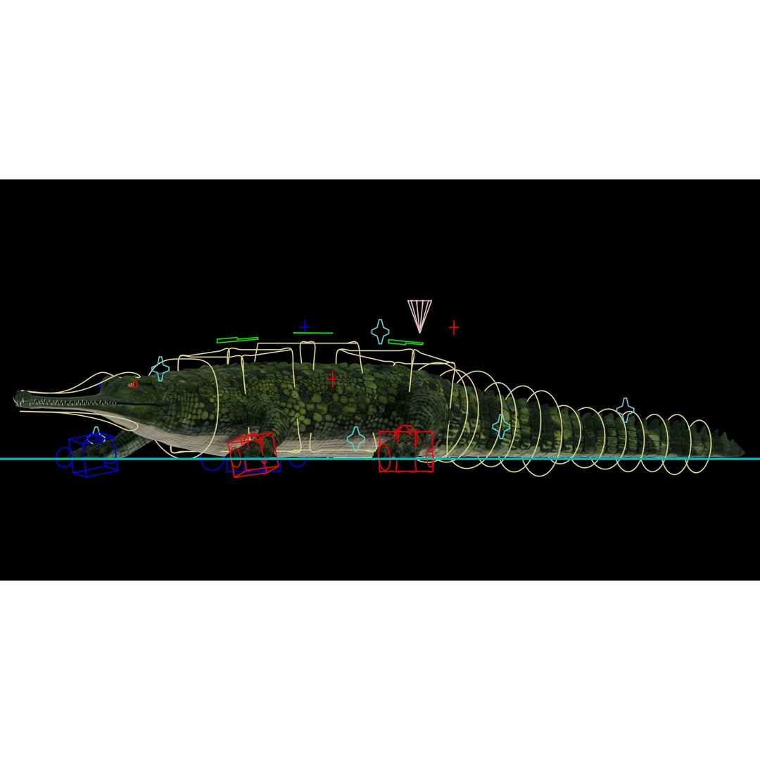 Realistic Gharial 3D Model – Rigged Low-Poly Game Asset, FBX, OBJ - View 4