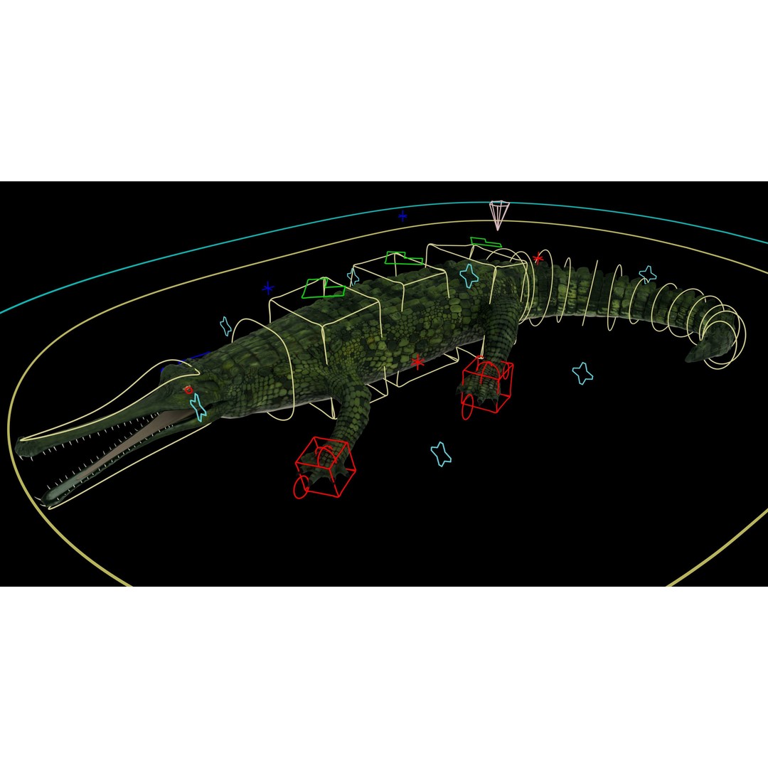 Realistic Gharial 3D Model – Rigged Low-Poly Game Asset, FBX, OBJ - View 5